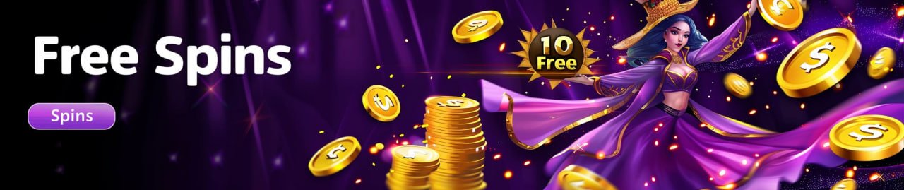zz666 live casino introduction for Bangladesh users on mobile devices